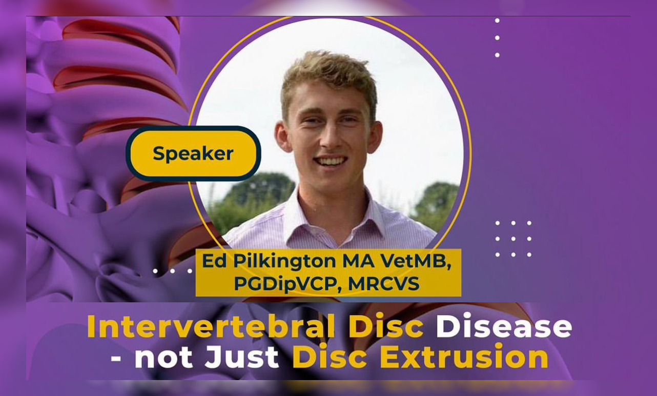 Neurology-Intervertebral-Disc-Disease-not-just-disc-extrusions Neurology-Intervertebral-Disc-Disease-not-just-disc-extrusions