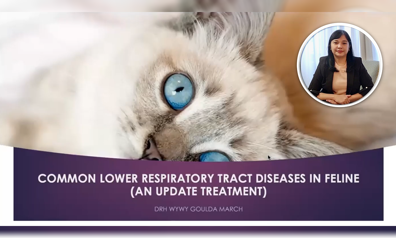 Common Lower Respiratory Tract Diseases in Feline