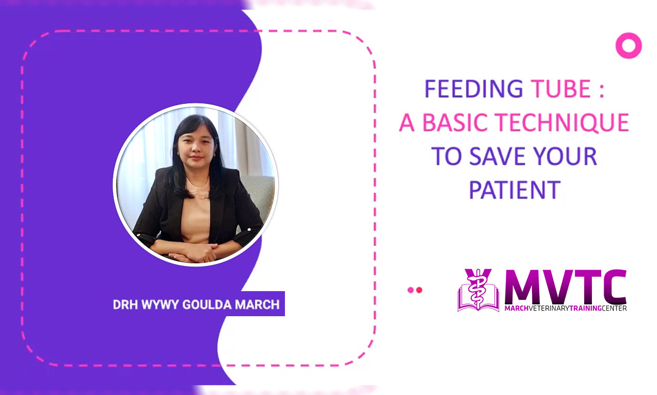 Feeding Tube – A Basic Technique to Save Your Patient