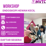 [BATCH 3] Workshop Endoskopi Hewan Kecil