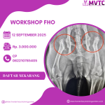 [BATCH 10] Workshop Femoral Head Ostectomy (FHO)