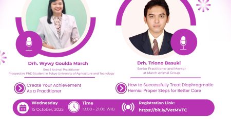 Flyer Vet Webinar Okt 2025