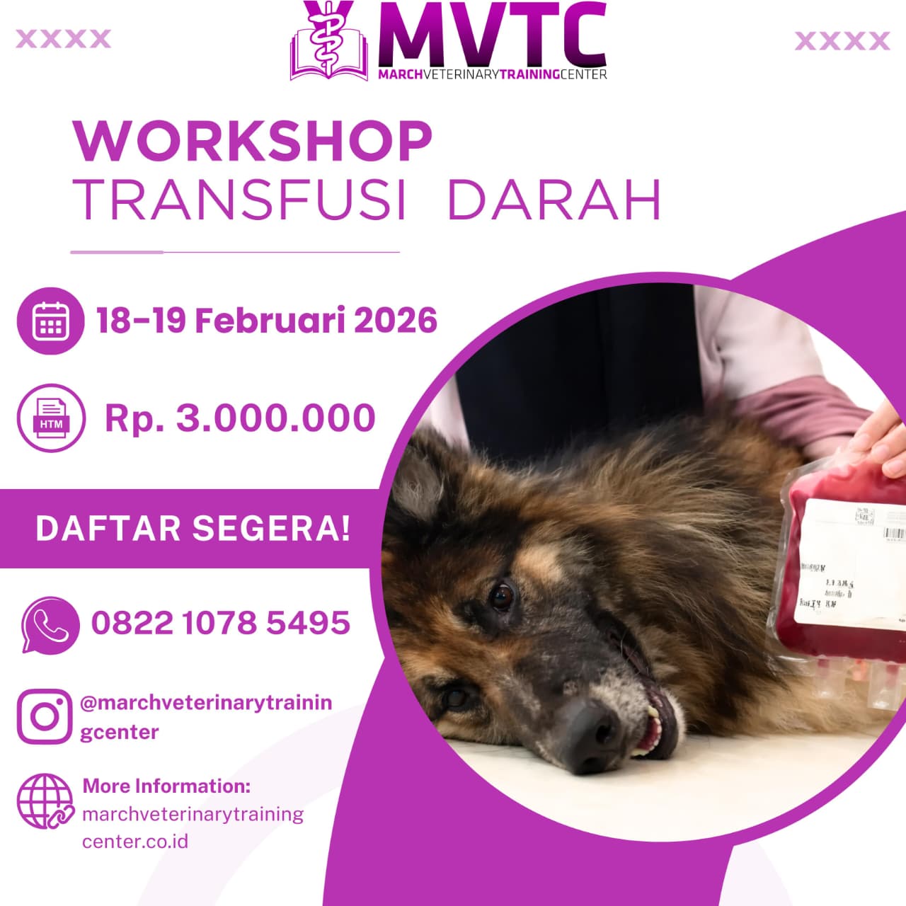 WhatsApp Image 2026-01-26 at 15.44.22