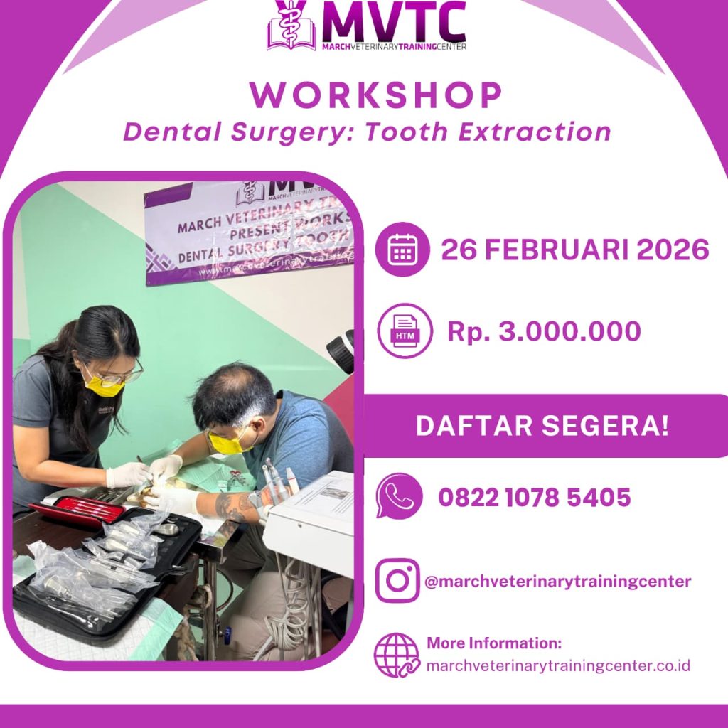 [BATCH 12] Workshop Dental Surgery – Tooth Extraction – March ...
