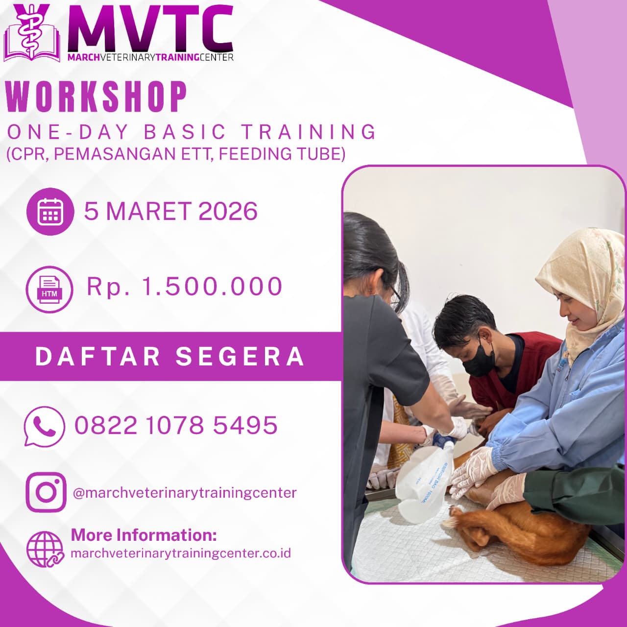 WhatsApp Image 2026-02-28 at 15.21.09