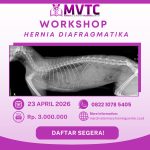 [BATCH 10] Workshop Hernia Diafragmatika