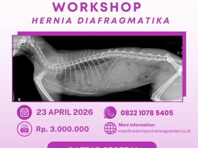 [BATCH 10] Workshop Hernia Diafragmatika