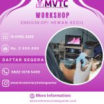 [BATCH 6] Workshop Endoskopi Hewan Kecil