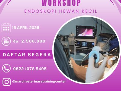 [BATCH 6] Workshop Endoskopi Hewan Kecil