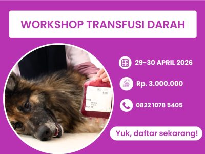 [BATCH 18] Workshop Transfusi Darah