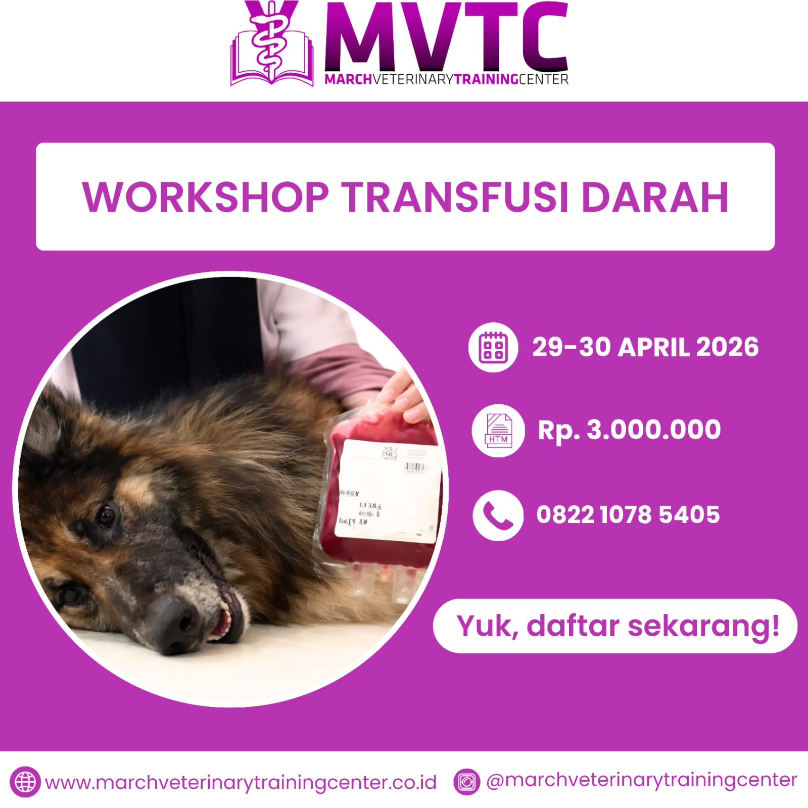 WhatsApp Image 2026-04-06 at 16.41.50