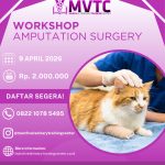 [BATCH 3] Amputation Surgery