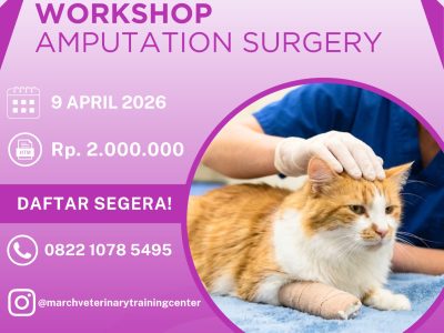 [BATCH 3] Amputation Surgery