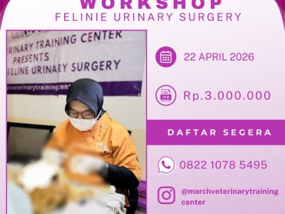 [BATCH 18] Kursus Feline Urinary Surgery