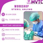 [BATCH 18] Workshop Steril Anjing