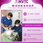 [BATCH 19] Kursus Feline Urinary Surgery