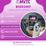 [BATCH 7] Workshop Endoskopi Hewan Kecil