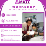 [BATCH 20] Kursus Feline Urinary Surgery