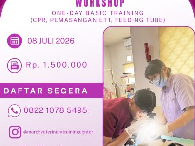 [BATCH 12] One Day Basic Training – CPR, Pemasangan ETT, Feeding Tube, dll