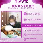 [BATCH 21] Kursus Feline Urinary Surgery