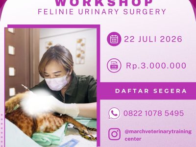 [BATCH 21] Kursus Feline Urinary Surgery