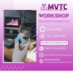 [BATCH 8] Workshop Endoskopi Hewan Kecil