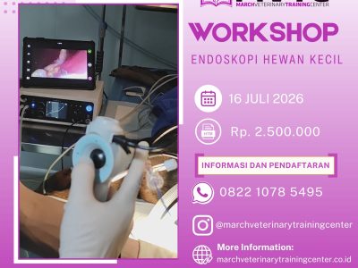[BATCH 8] Workshop Endoskopi Hewan Kecil