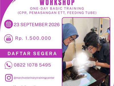[BATCH 14] One Day Basic Training – CPR, Pemasangan ETT, Feeding Tube, dll