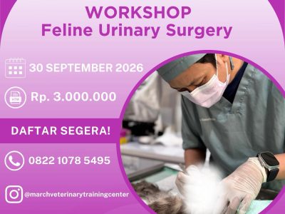 [BATCH 23] Kursus Feline Urinary Surgery